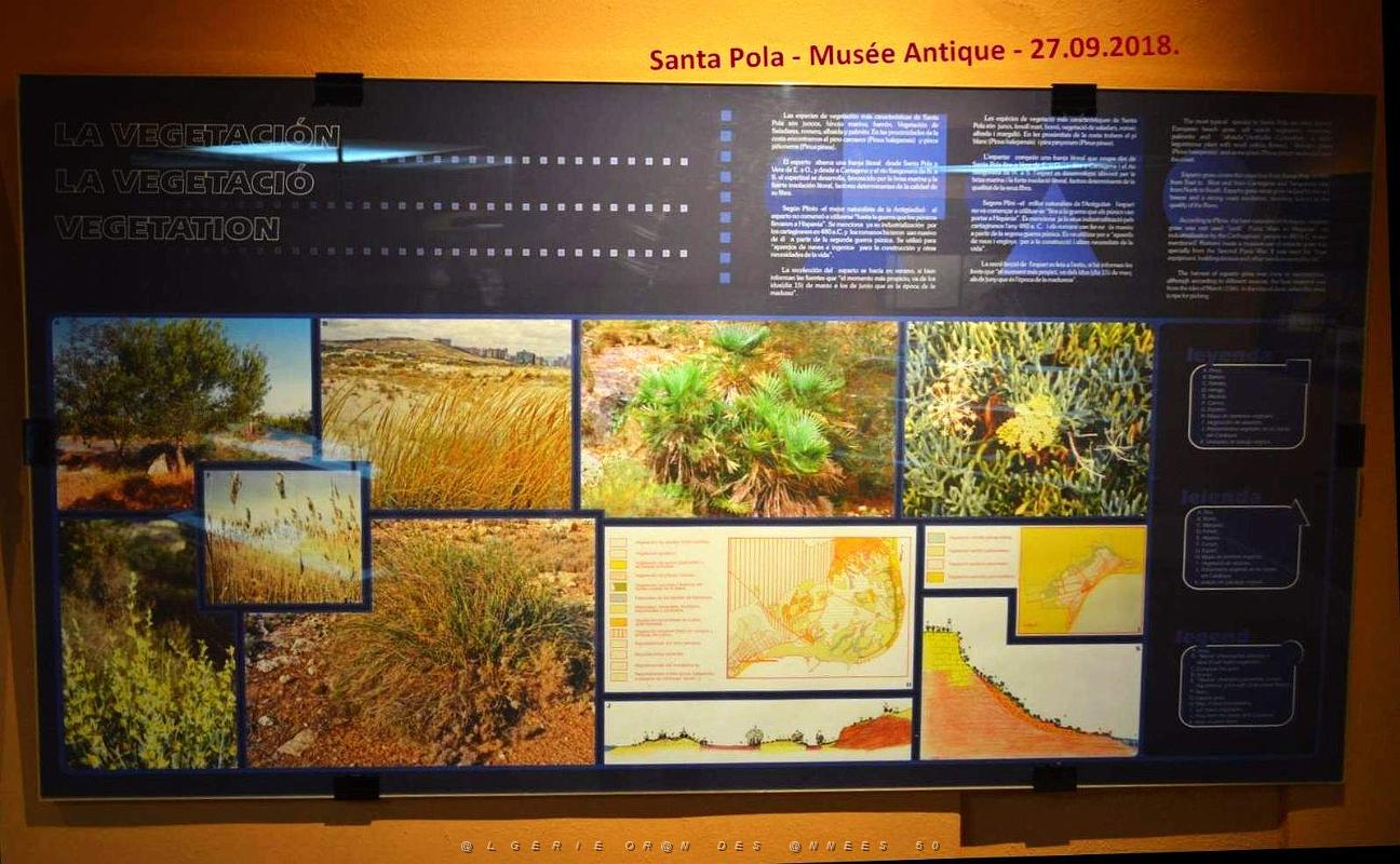 41 SANTA POLA ANTIQUE MUSEE (11).JPG